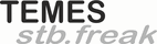 TEMES fl.ai1